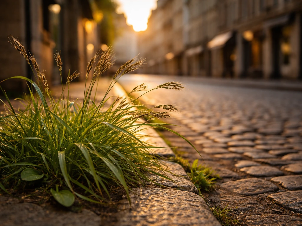 Dispense herbe Le Mans : comprendre et chercher efficacement