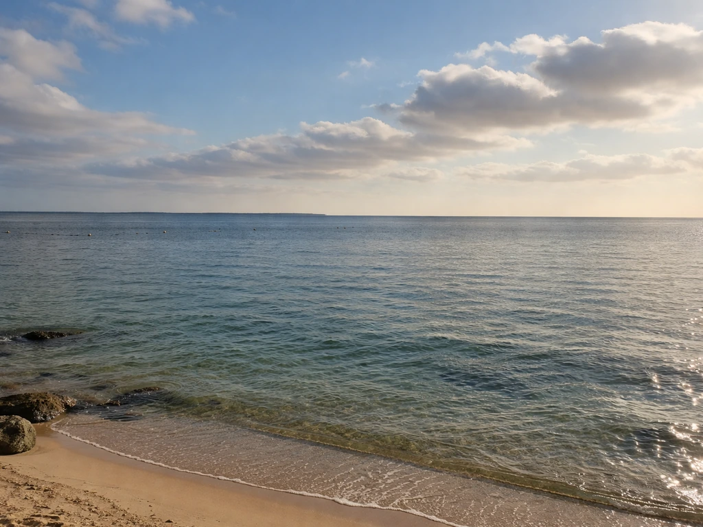 Panorama du bassin d’Arcachon vu depuis L’Herbe, contrastes bassin/océan et reflets sur l’eau